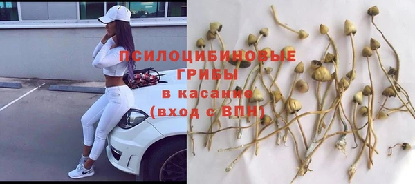 круглые Вяземский