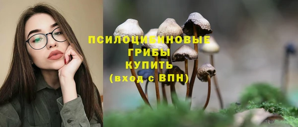 дживик Горняк