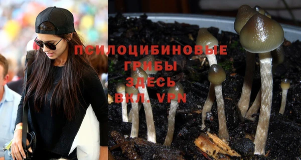 герыч Вязники