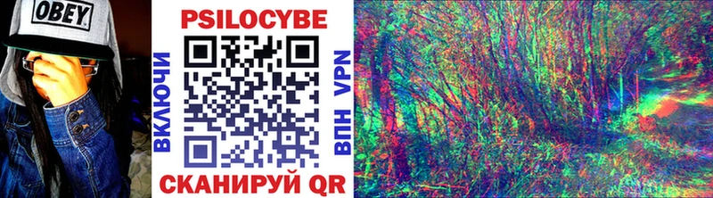 Псилоцибиновые грибы Psilocybe  Купить где  Сковородино 
